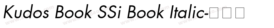 Kudos Book SSi Book Italic字体转换